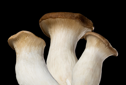 蔬菜配送需要注意什么？