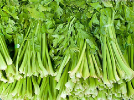 芹菜批发配送