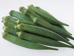 黄秋葵批发配送