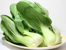 青菜农副产品加工配送