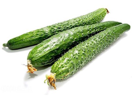 黄瓜配送