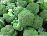 种植配送西兰花