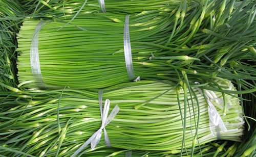 蒜苗批发配送(图1) 蒜苗批发配送(图1)