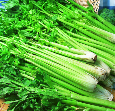 芹菜批发供应商(图1)