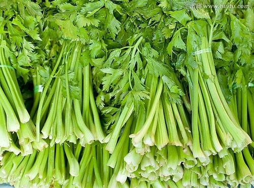 芹菜批发配送(图1) 芹菜批发配送(图1)