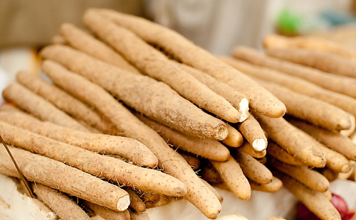 山药采购价格(图1) 山药采购价格(图1)