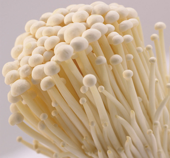 镇江金针菇配送(图1) 镇江金针菇配送(图1)