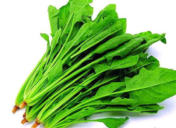 菠菜配送(图1) 菠菜配送(图1)