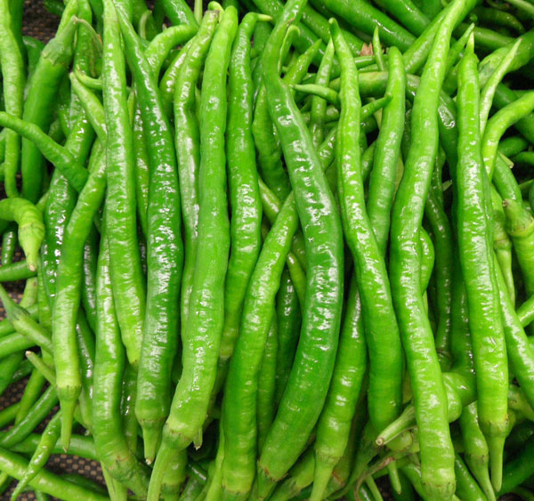 青杭椒(图1) 青杭椒(图1)