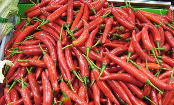 小红尖椒(图1) 小红尖椒(图1)