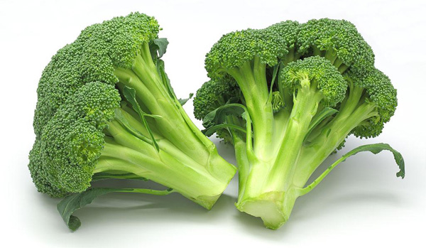 种植配送西兰花(图1) 种植配送西兰花(图1)